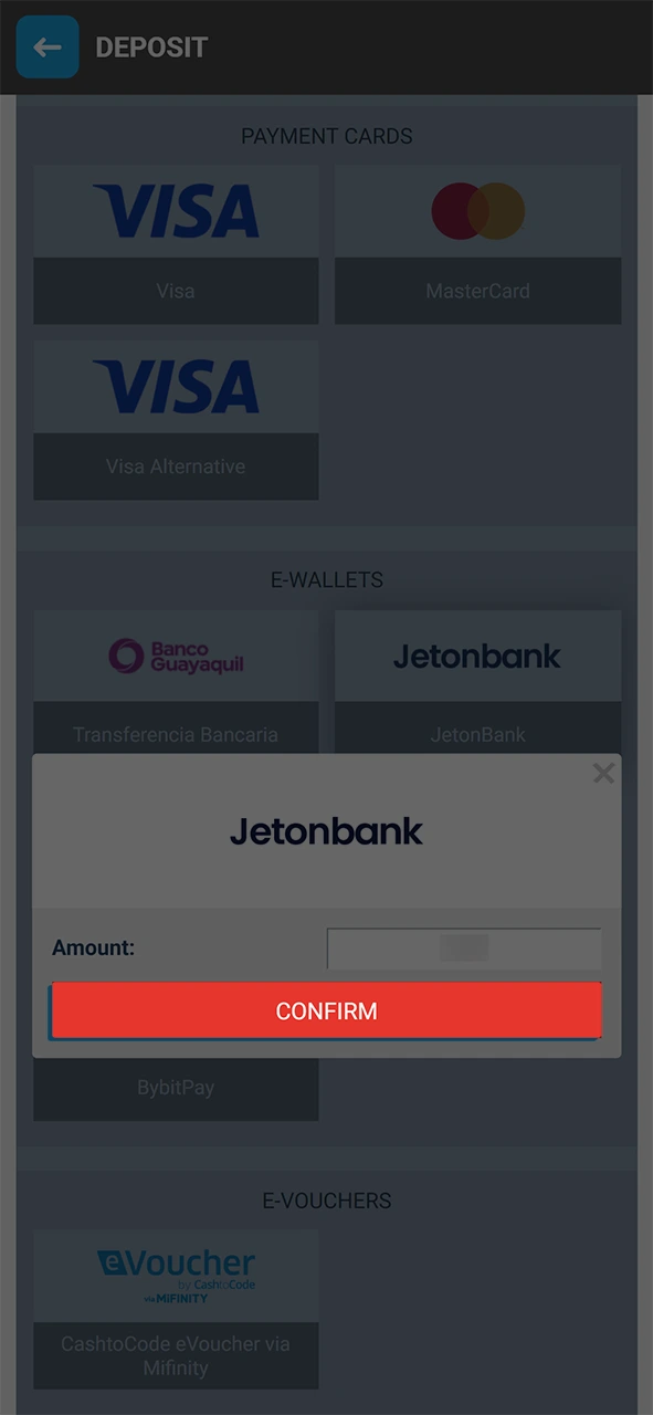 Verify the transaction details to finalize your successful MegaPari deposit.
