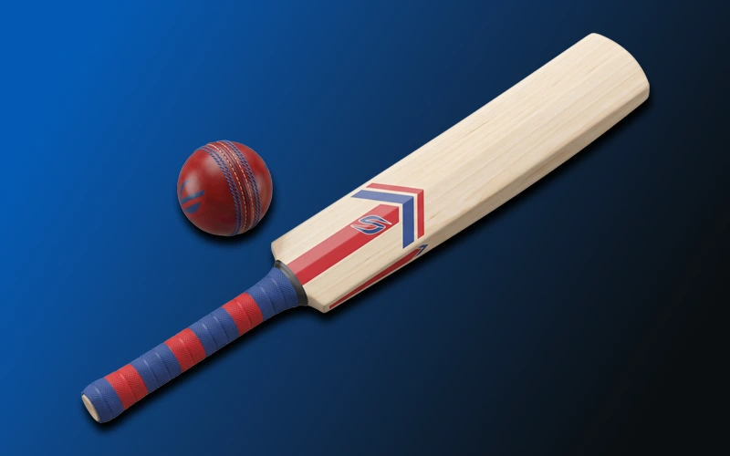 Enjoy dynamic cricket sports matches and bet at MegaPari.